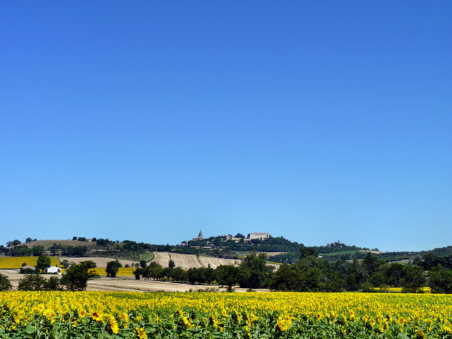 Saint-Félix Lauragais