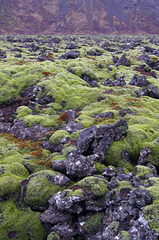 lava and moss