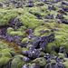 lava and moss