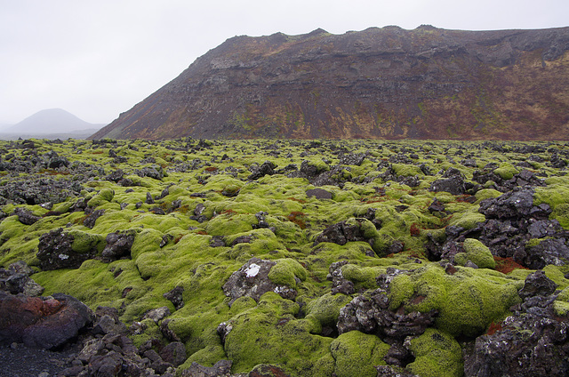 what Iceland looks like