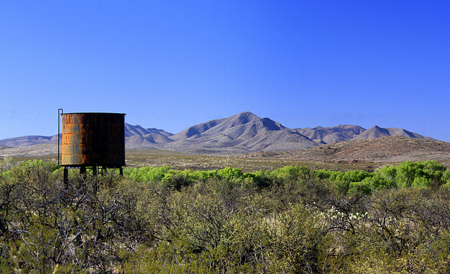 Along The Arizona Trail