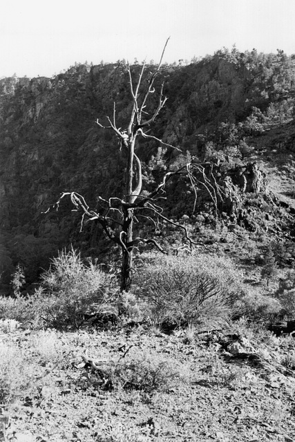the skeleton, Italowie Gorge
