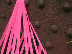 Pink Web with Rivets