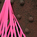 Pink Web with Rivets