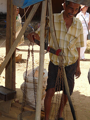 Tapioca Seller