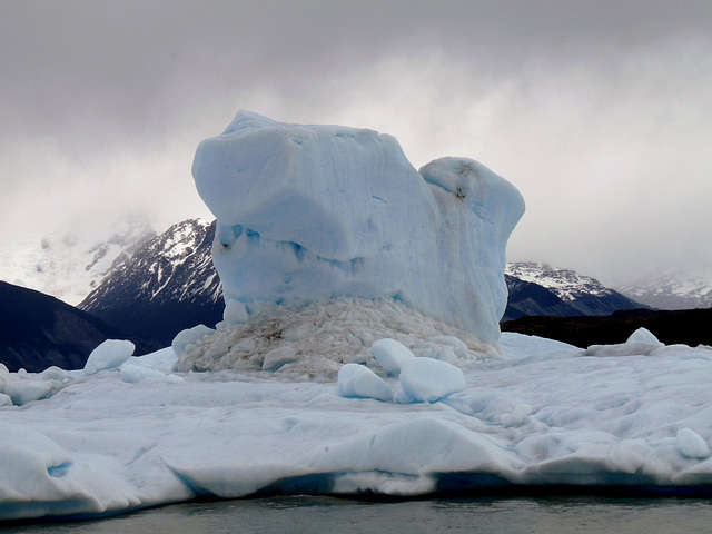 Iceberg From Upsala Glacier