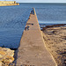 St Andrews Harbour wall
