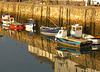 St Andrews Harbour