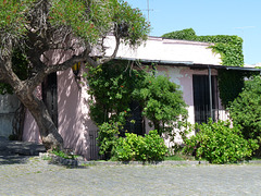 A Shady Cottage