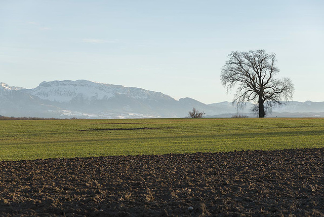 Vision de paix