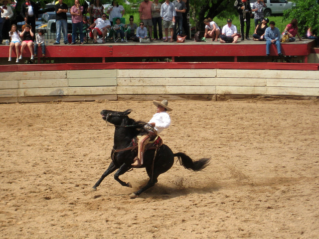 Cala de Caballo