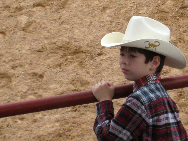 Little Cowboy