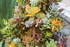 A Pyramid of Cactus – Phipps Conservatory, Pittsburgh, Pennsylvania