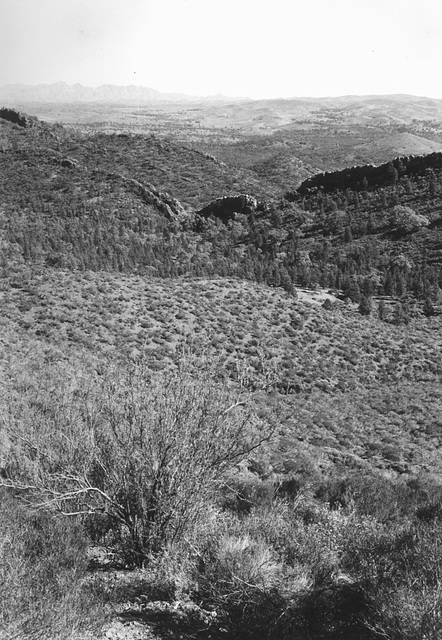 Loves Mine Range, Flinders Ranges