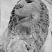 Stone lion