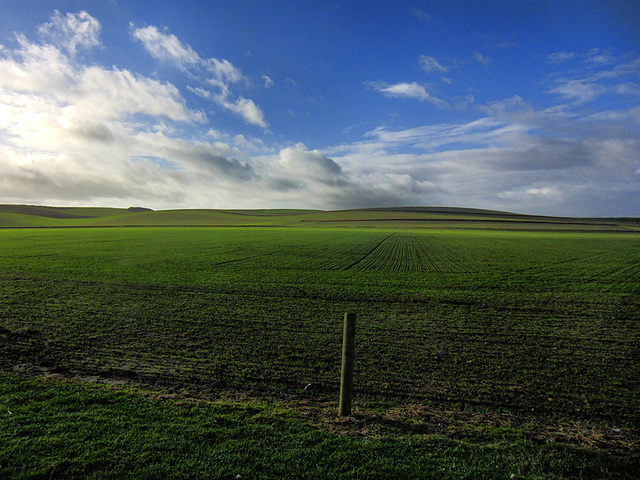 Glooiend landschap