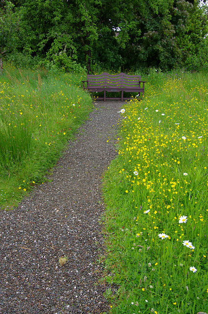 meadow path