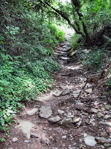 4 kms to Conques - a final spurt