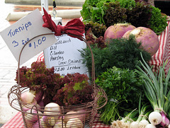 Turnips as Big as Texas