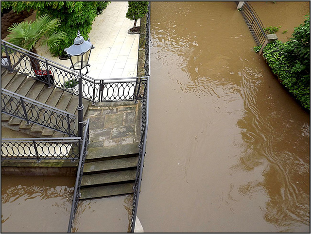 Dresden 04.06.2013, Loschwitzer Brücke 049