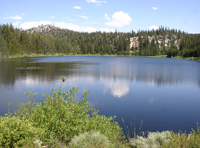 Hobart Creek Reservoir