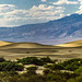 Death Valley Dunes, April 1980 (000°)