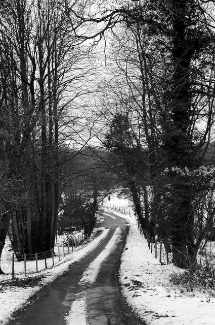 Snowy lane