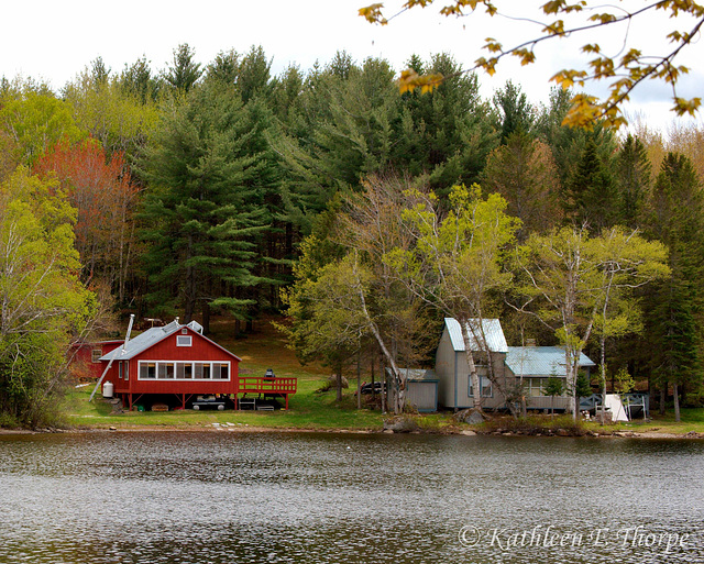 Cabin on the Lake