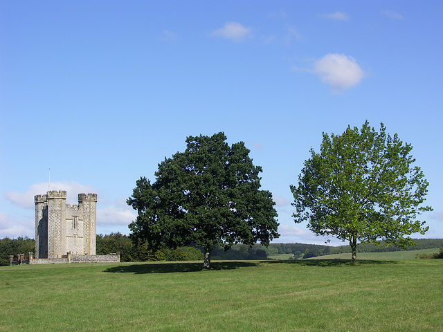 Hiorne Tower and two trees