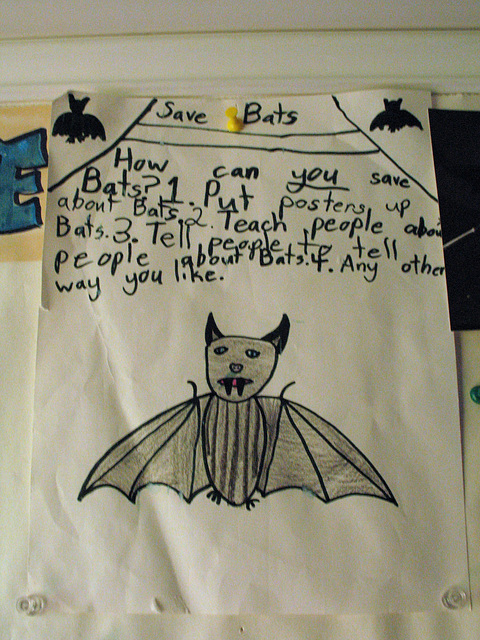 Save Bats