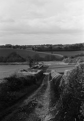 Hertfordshire landscape 2