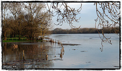 SAINTE GEMMES sur LOIRE