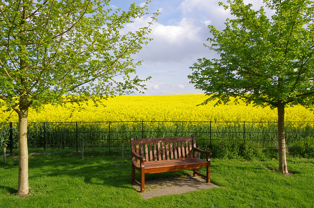 Ludford Park - a nice sit down