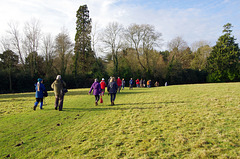 walking through the Fairlawne Estate, bold as brass