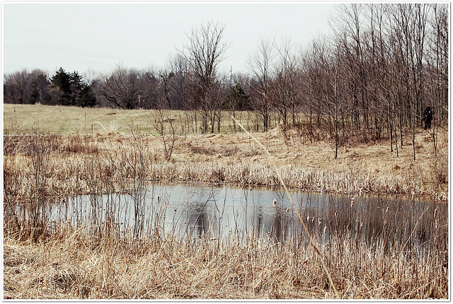 Early Spring Day