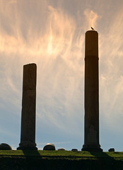 Columns next to the Colosseum