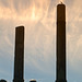 Columns next to the Colosseum