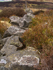 Dry stone dyke