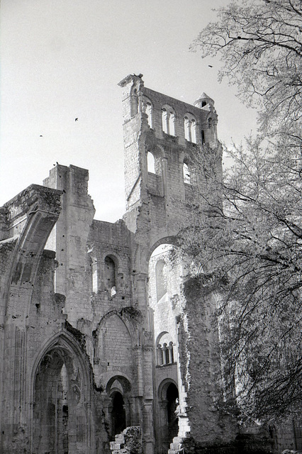 Abbaye de Jumièges