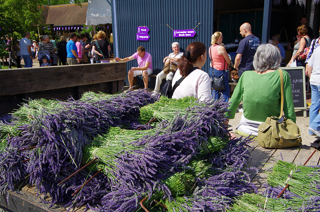 cartload of lavender