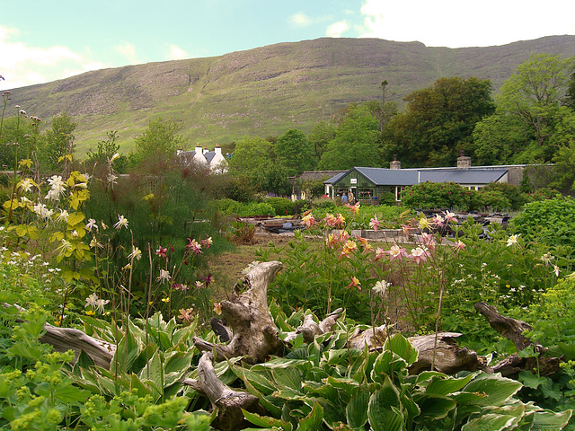 The Walled Garden and Potting Shed Cafe