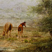 Wild Horses - Lenabem Texture