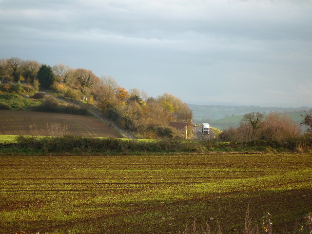 The A46