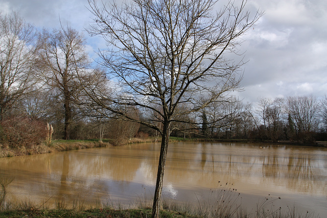 ETANG EN HIVER