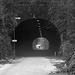The Trinity Tunnel