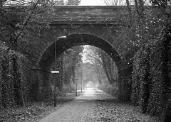 Old railway path - Trinity