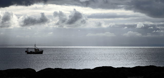 Fishing in Largo Bay