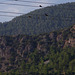 birds on wires