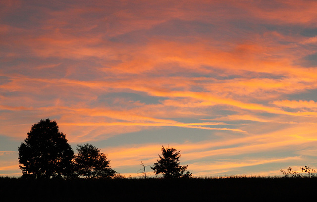 French sunset