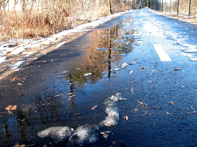 Winter on the Bike Path